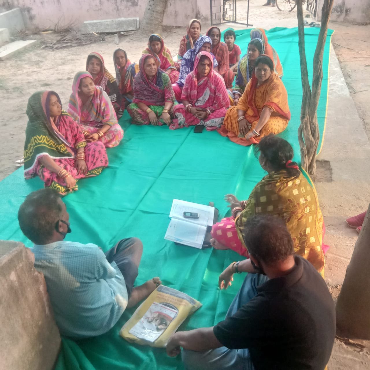 Shg Development